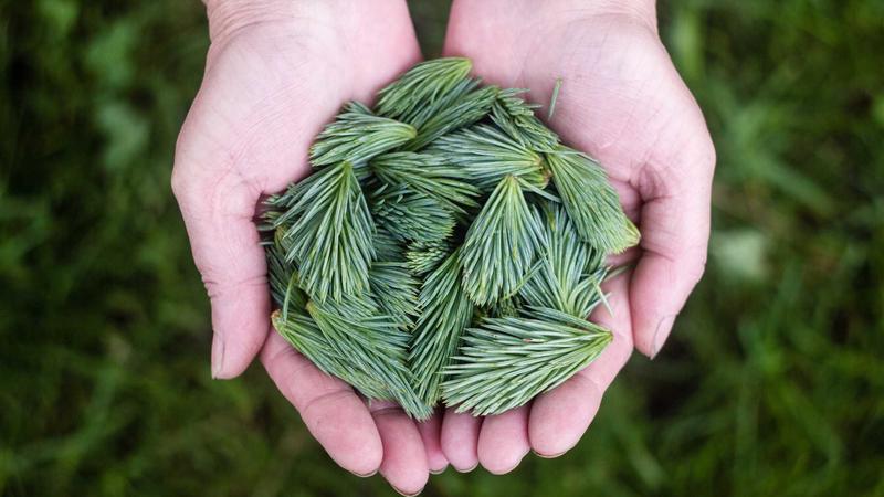 麻将胡了3产品中心展示多种麻将游戏界面
